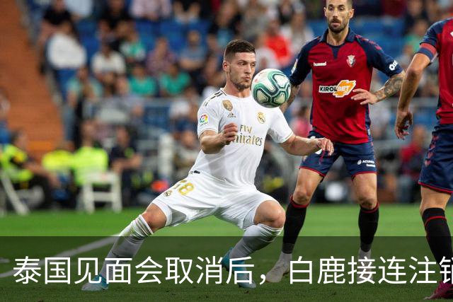 泰国见面会取消后，白鹿接连注销名下三家公司，网友：果然有猫腻